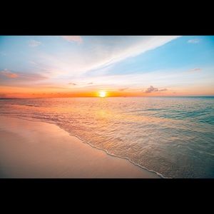 Meet your Posher, Winta